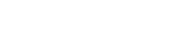 Mr Vibes Coaching logo